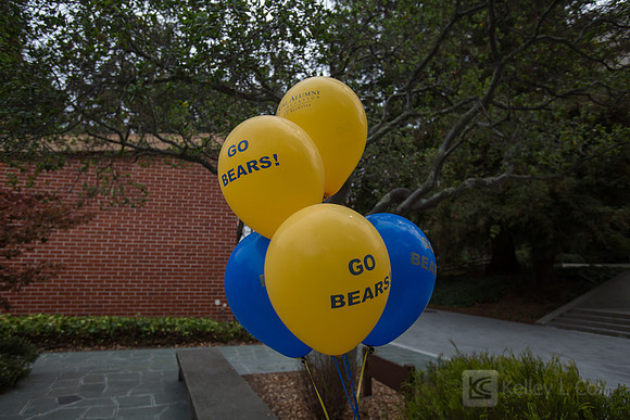 CAA: Young Alumni Tailgate