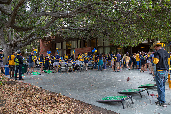 CAA: Young Alumni Tailgate