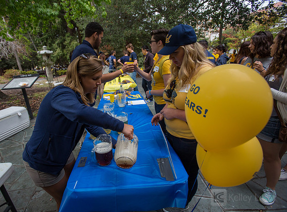 CAA: Young Alumni Tailgate