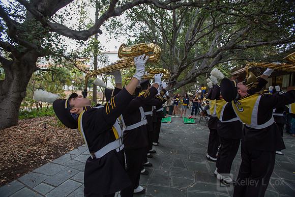 CAA: Young Alumni Tailgate