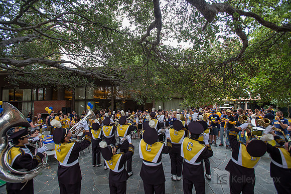 CAA: Young Alumni Tailgate