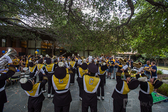 CAA: Young Alumni Tailgate