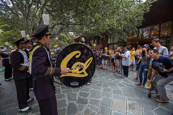 CAA: Young Alumni Tailgate