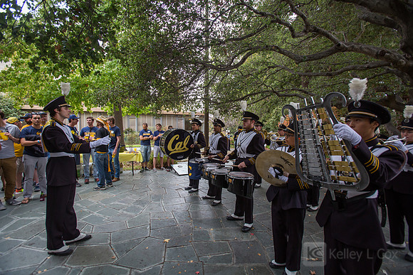CAA: Young Alumni Tailgate