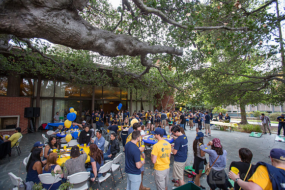 CAA: Young Alumni Tailgate