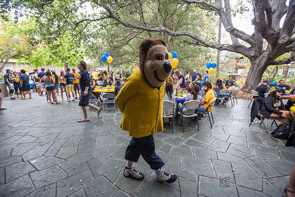 CAA: Young Alumni Tailgate