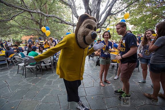 CAA: Young Alumni Tailgate
