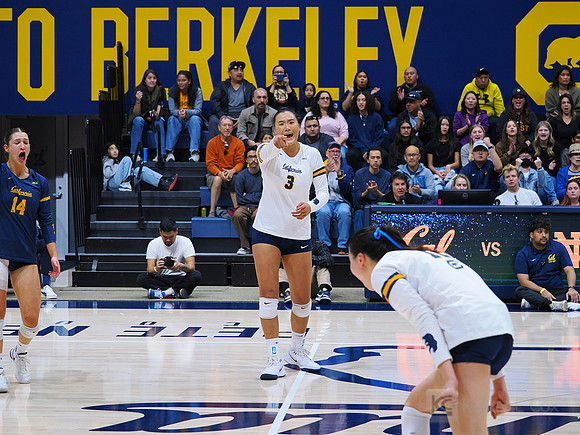 Volleyball: California Golden Bears vs Notre Dame Fighting Irish