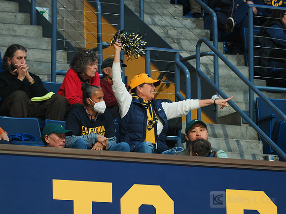 Fans