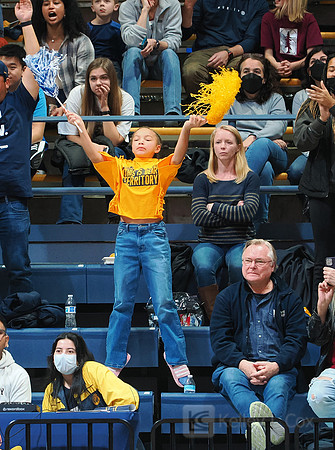 Fans