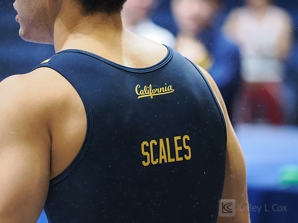 Chris Scales