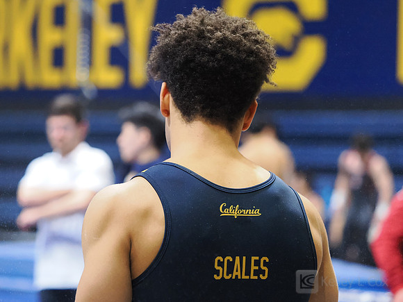 Chris Scales