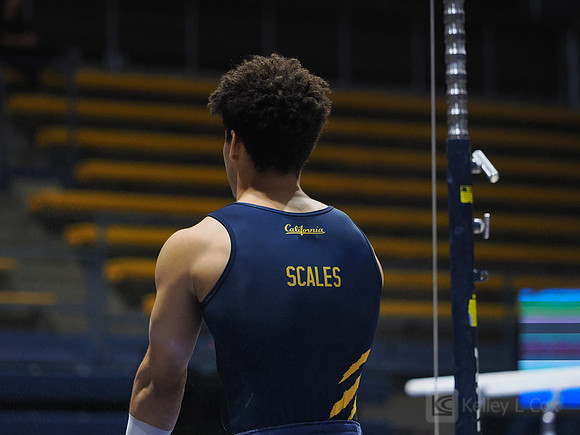 Chris Scales