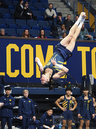 Collin Cunane