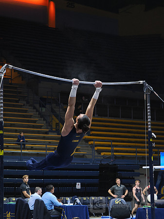 Collin Cunane
