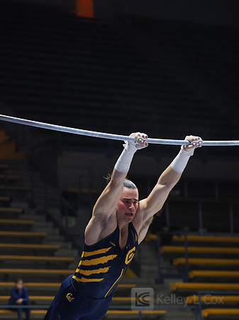 Collin Cunane