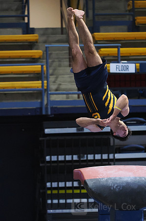 David Rauchwerger