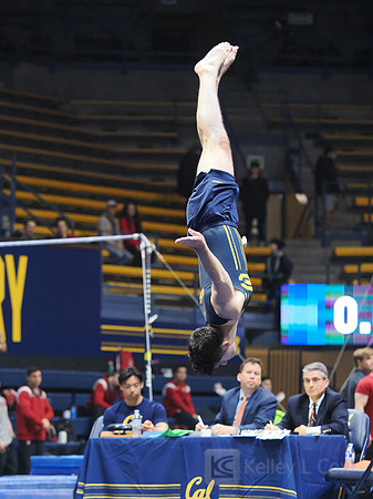 David Rauchwerger