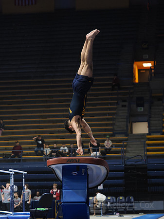 David Rauchwerger