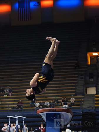 David Rauchwerger