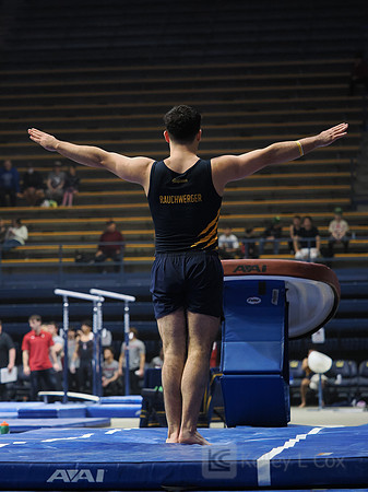 David Rauchwerger