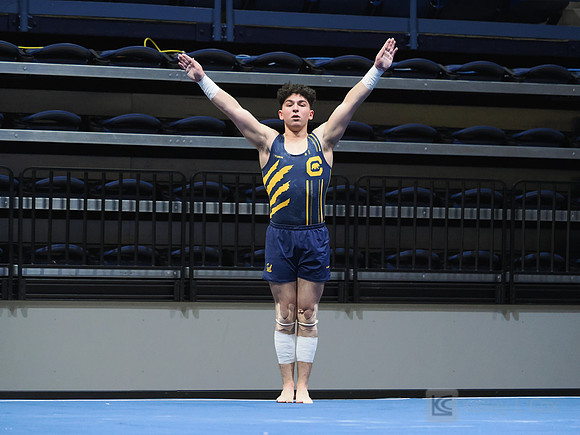 Levon Chalikyan