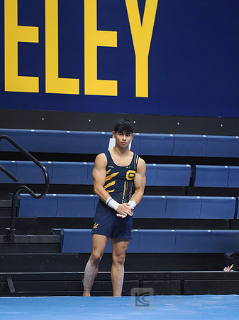 Noah Newfeld