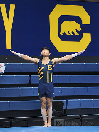 Noah Newfeld