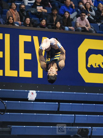 Noah Newfeld