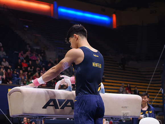 Noah Newfeld