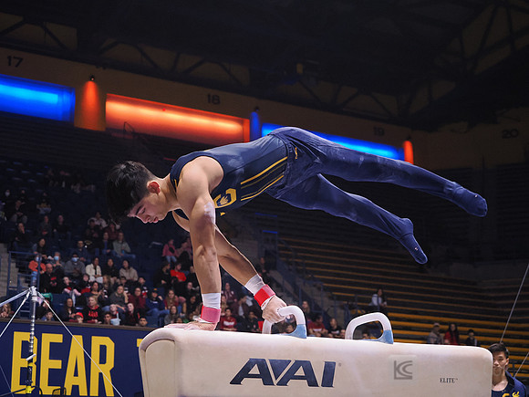 Noah Newfeld