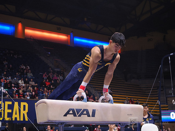 Noah Newfeld