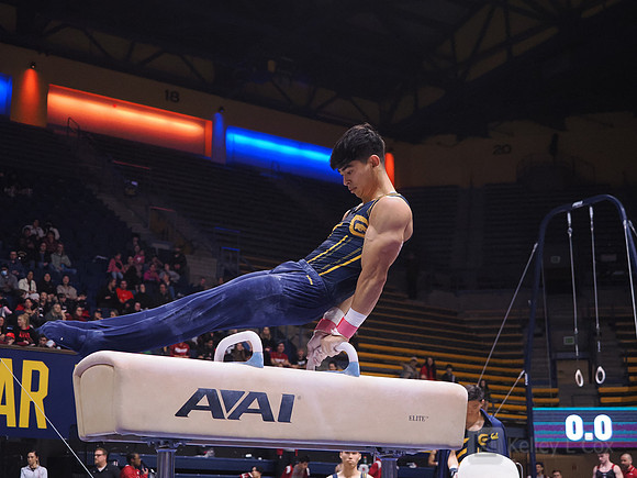 Noah Newfeld