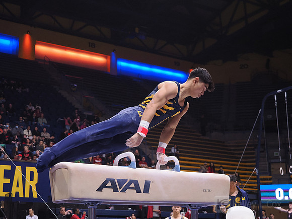Noah Newfeld