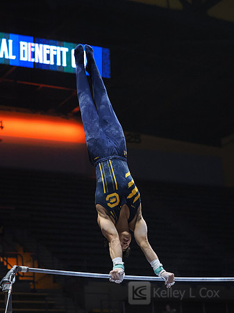 Noah Newfeld