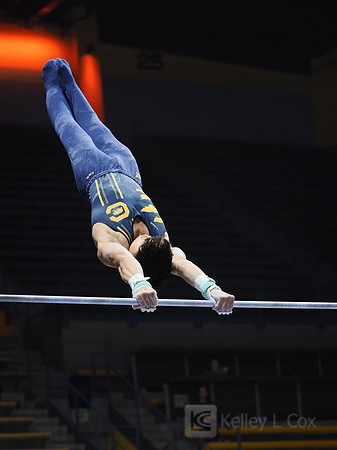 Noah Newfeld