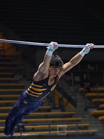 Noah Newfeld