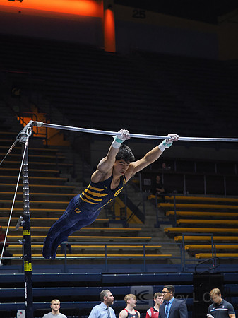 Noah Newfeld