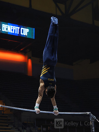 Noah Newfeld