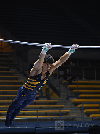 Noah Newfeld