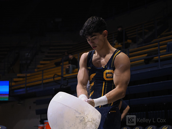 Noah Newfeld
