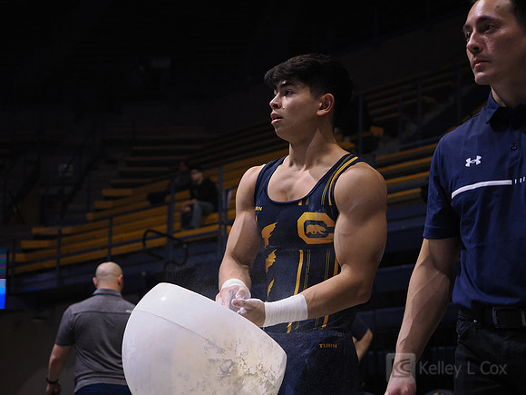 Noah Newfeld