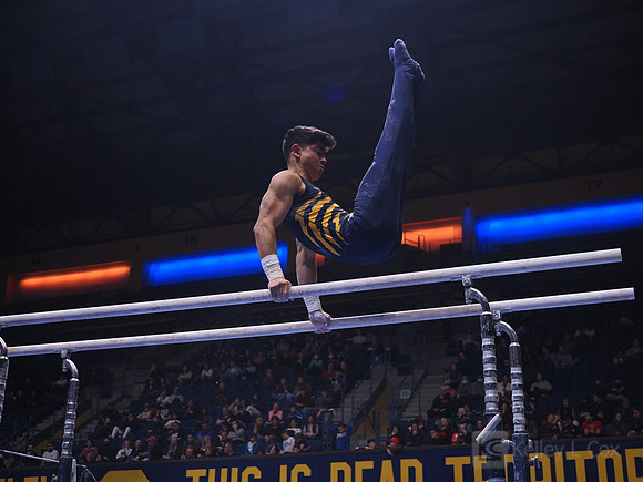 Noah Newfeld