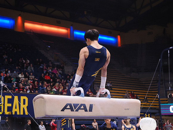 Noah Sano