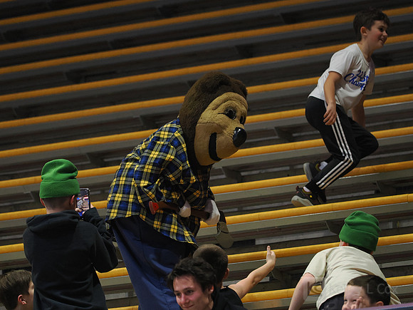 Oski, Fans