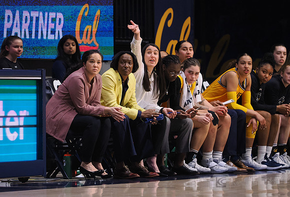 Coaches