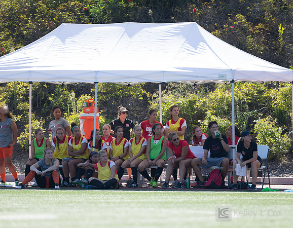 Cal State East Bay Pioneers womens soccer v SF State Gators