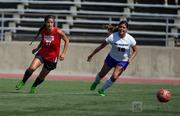 Cal State East Bay Pioneers womens soccer v SF State Gators