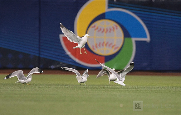 Baseball: World Baseball Classic-Netherlands vs Dominican Republic