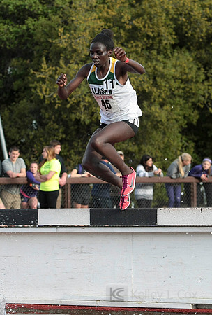 Track and Field: Stanford Invitational